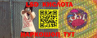 PSILOCYBIN Бугуруслан