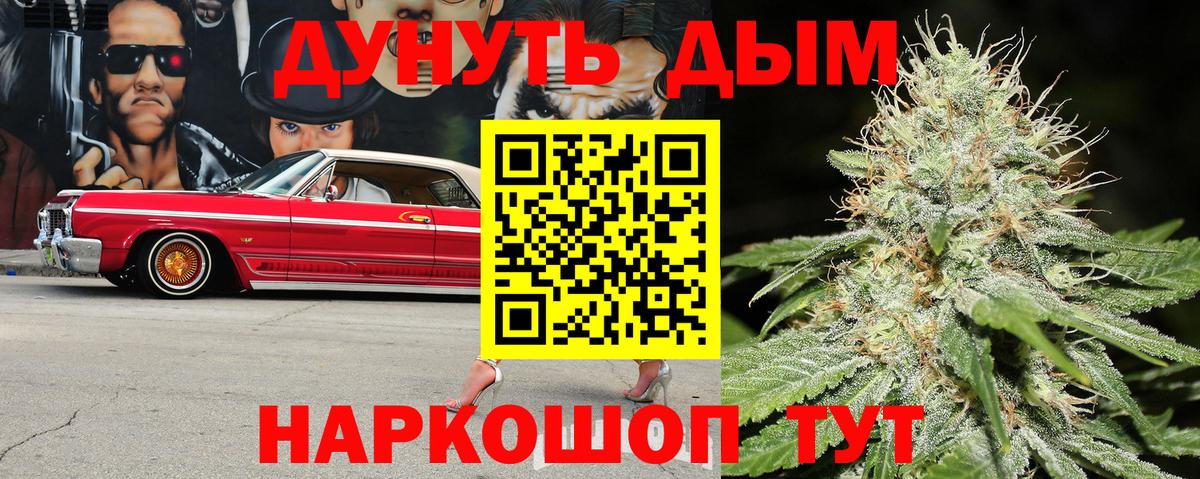Бошки Шишки SATIVA & INDICA  Конопля SATIVA & INDICA  Новосибирск  Вход с VPN 
